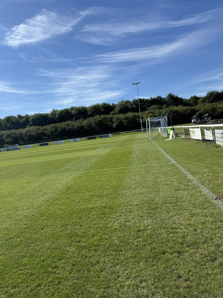 George Starling tweet media