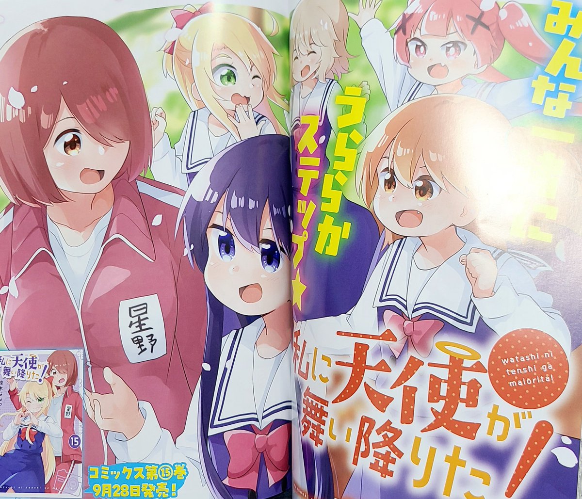 「わたてん」15巻セット Amazon.co.jp: 私に天使が舞い降りた!15 特装版 (百合姫