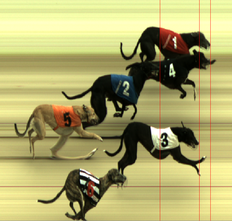 MonmoreRacing's tweet photo. Saturday 14th September AM - Race 5 
Photofinish📸
Winner Trap 1 - Rackethall Orkat🥇
Winner Trap 4 - Alright Babe🥇
Third Trap 3 - Trubbys Stripes🥉
Winning Time = 16.13⏰ https://t.co/LB8573l7st