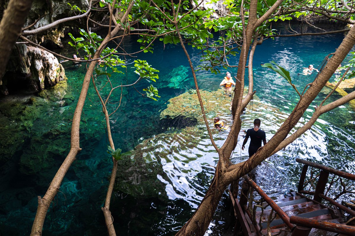 Blogtrotteuse__'s tweet photo. Maalum Cave ❤️❤️
Cet endroit a définitivement mon cœur. Je suis tellement reconnaissante d'avoir pu y aller. Une pépite pour moi de Zanzibar. Vous ne pouvez pas concevoir un séjour à Zanzibar sans y être passé. Une vraie coupure hors du temps.

#Maalumcave #zanzibar https://t.co/DWJTC3KzC2