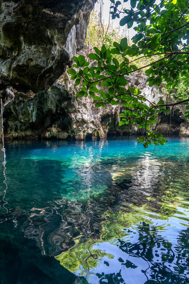 Blogtrotteuse__'s tweet photo. Maalum Cave ❤️❤️
Cet endroit a définitivement mon cœur. Je suis tellement reconnaissante d'avoir pu y aller. Une pépite pour moi de Zanzibar. Vous ne pouvez pas concevoir un séjour à Zanzibar sans y être passé. Une vraie coupure hors du temps.

#Maalumcave #zanzibar https://t.co/DWJTC3KzC2