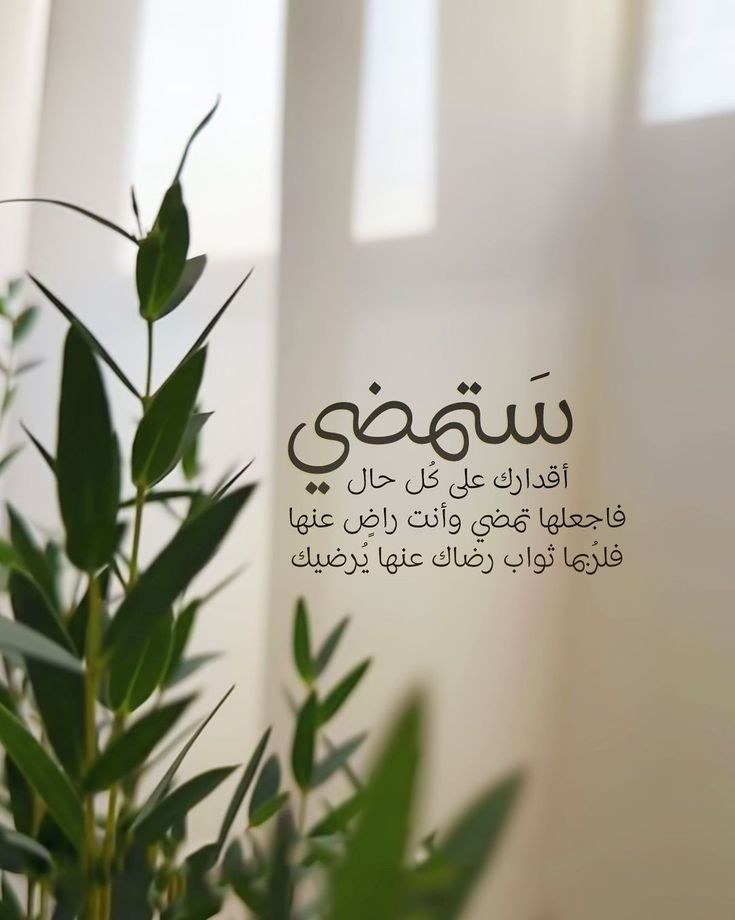 motm2na_'s tweet image. سَيمر كل مُر🤍..