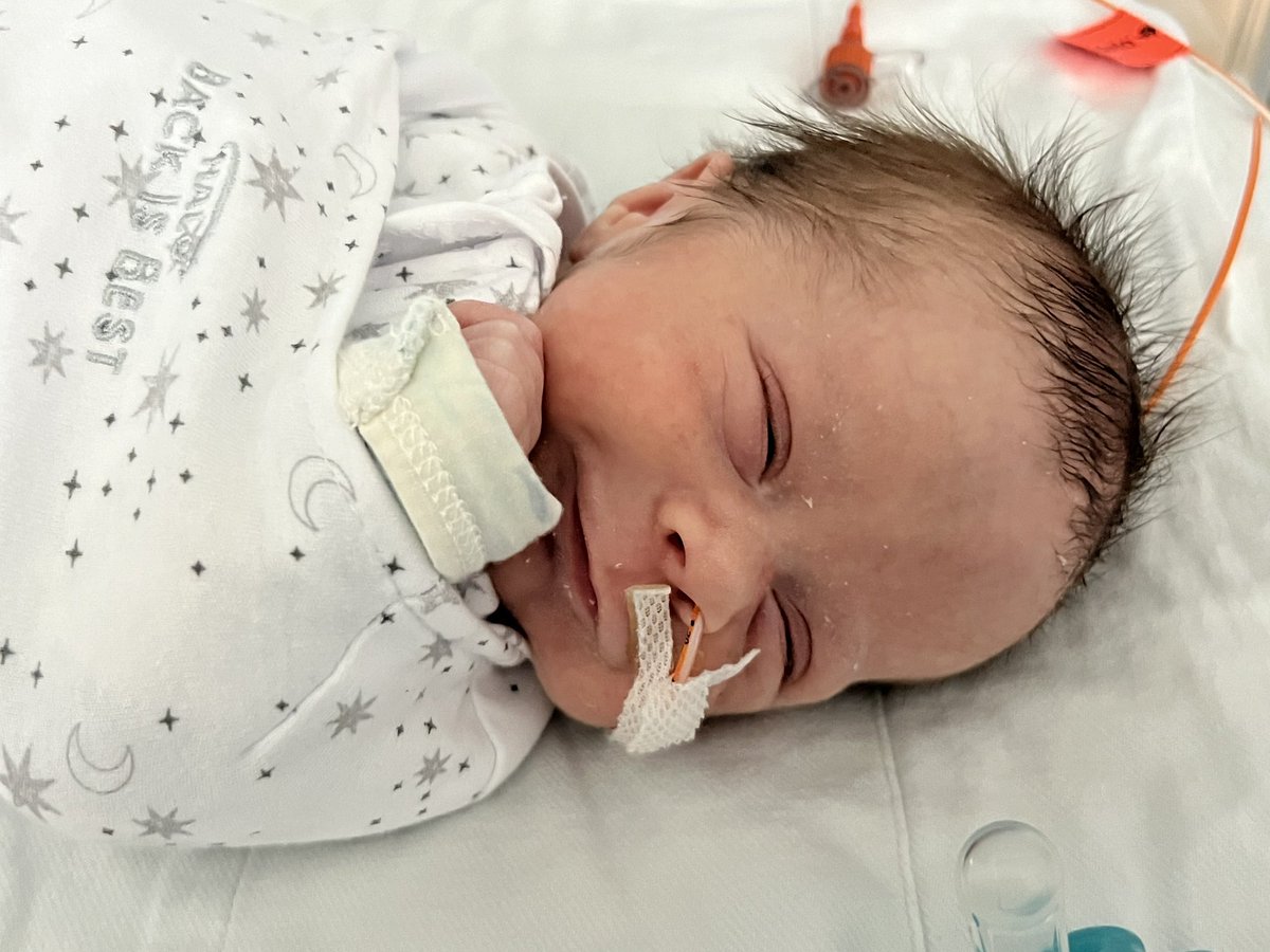 Amber Shelley tweet media