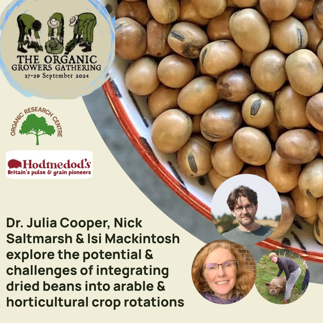 Come see us at The Organic Growers Gathering  where we are discussing integrating dried beans into arable and horticultural crop rotations. <a href="/Hodmedods/">Hodmedod's</a>
🎫Ticket &amp; programme info via the OGG website🎫 ow.ly/w14L50Tmfcw