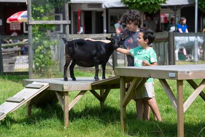 Warme woorden voor worstelende kinderboerderij, maar Breda gaat de knip niet trekken dlvr.it/TDDS52