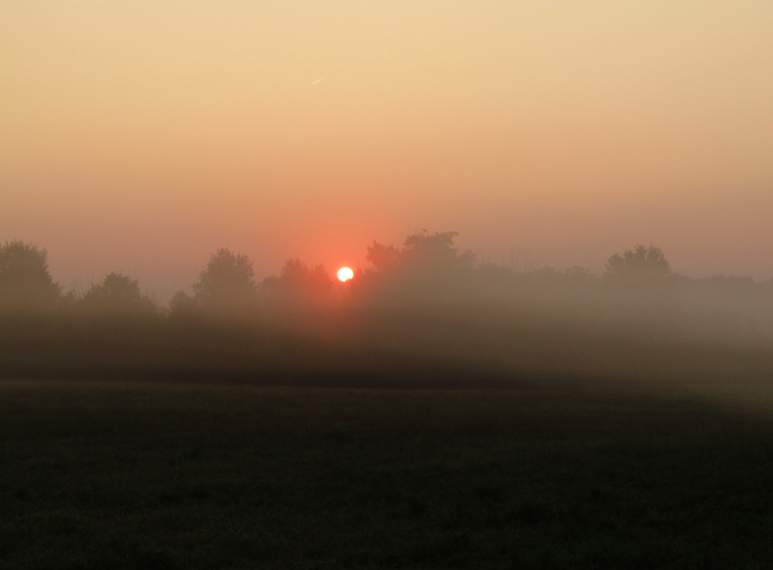 ScottReaBrooks1's tweet photo. This morning's sunrise, with fog across the fields, near #ActonON @_HaltonHills https://t.co/3Y1lG9P6sl