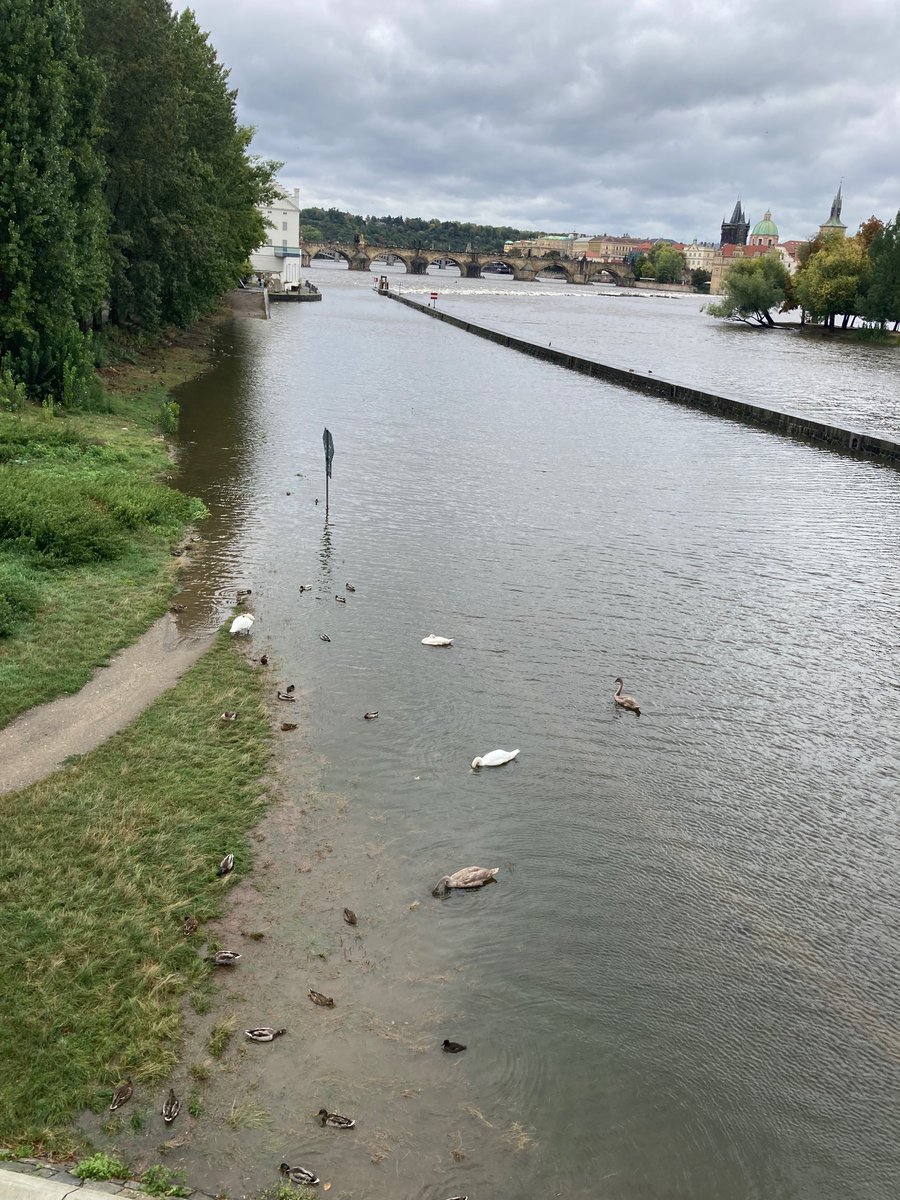 RadioPragueFr's tweet photo. #Prague à la mi-journée 🇨🇿 #Boris 💧 https://t.co/WhqMHqpSR6