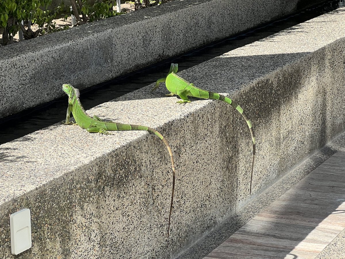 We’ve got some locals visiting the venue
