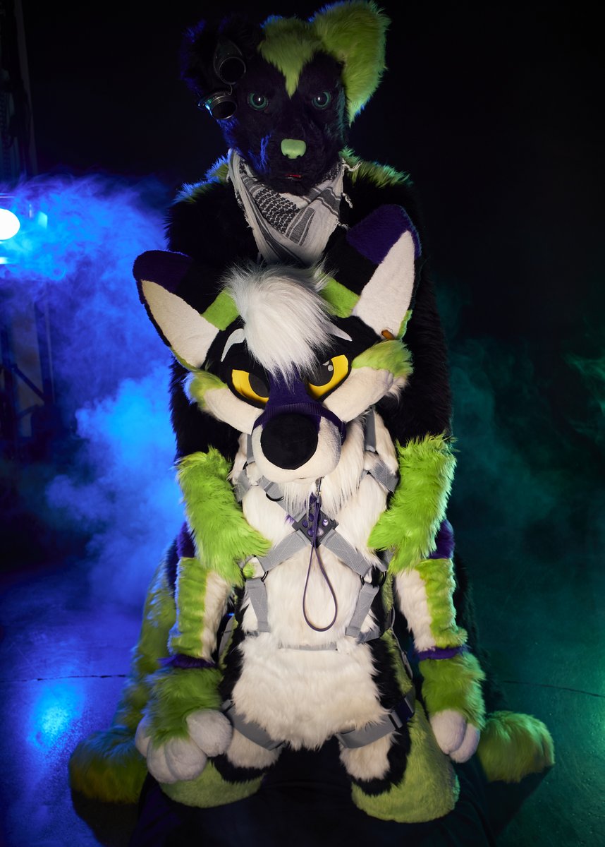 He can be a good boi, but only if he likes to 😈
(together with🐺Nervi)