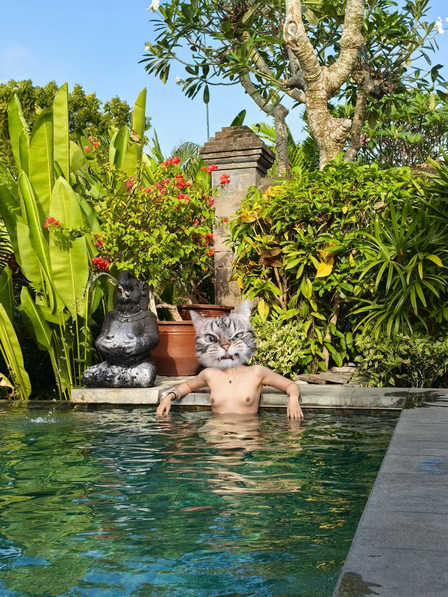 小钻宝贝💍 tweet media