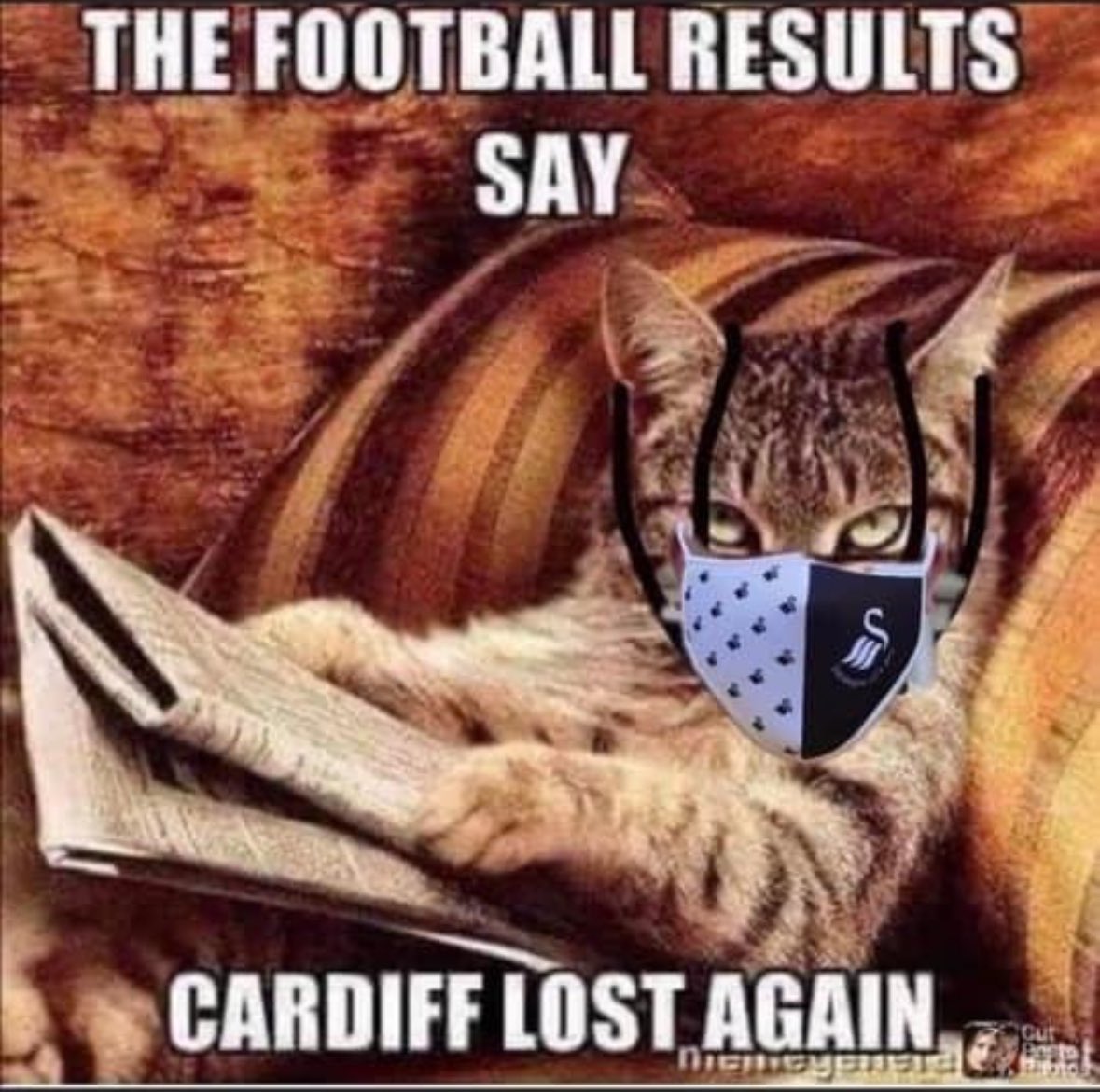 Lee Trundle tweet media