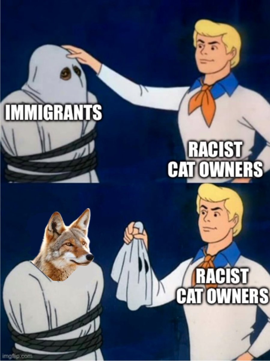 Racist cat owners trying to figure out who is killing their pets: