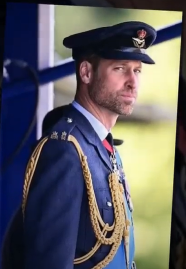 Observer88 tweet media