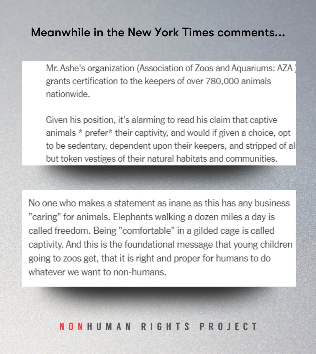 NonhumanRights's tweet photo. Glad to know we weren’t the only ones who found Dan Ashe’s quote, the president and chief executive of the Association of Zoos and Aquariums, in the recent New York Times article about Happy, concerning. #FreeHappy #FreePattty 📰➡️https://t.co/4sjBX5rrxl https://t.co/Q5xaf4H48J