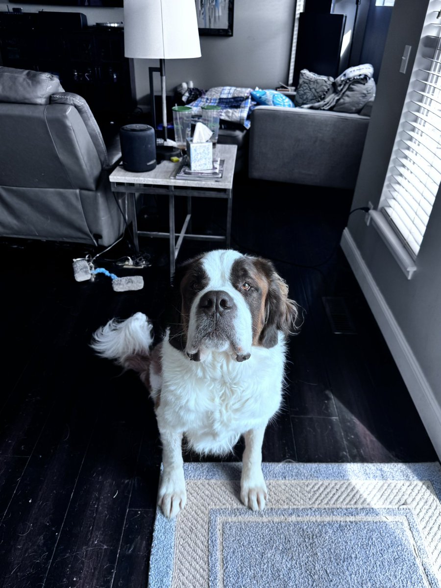 Dave Growl tweet media