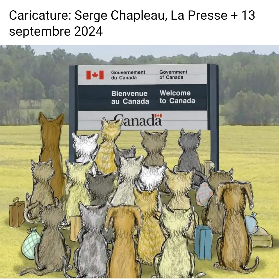 #ChatmediDeRire #Humour