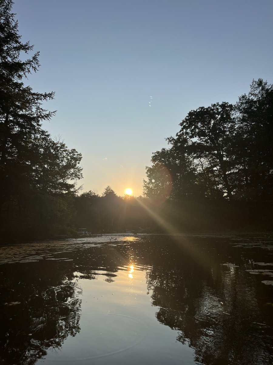 Jason Williams tweet media