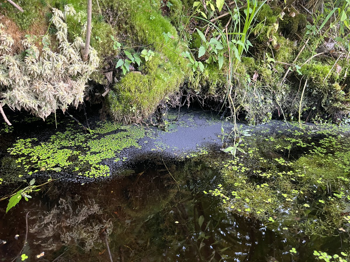 Jason Williams tweet media