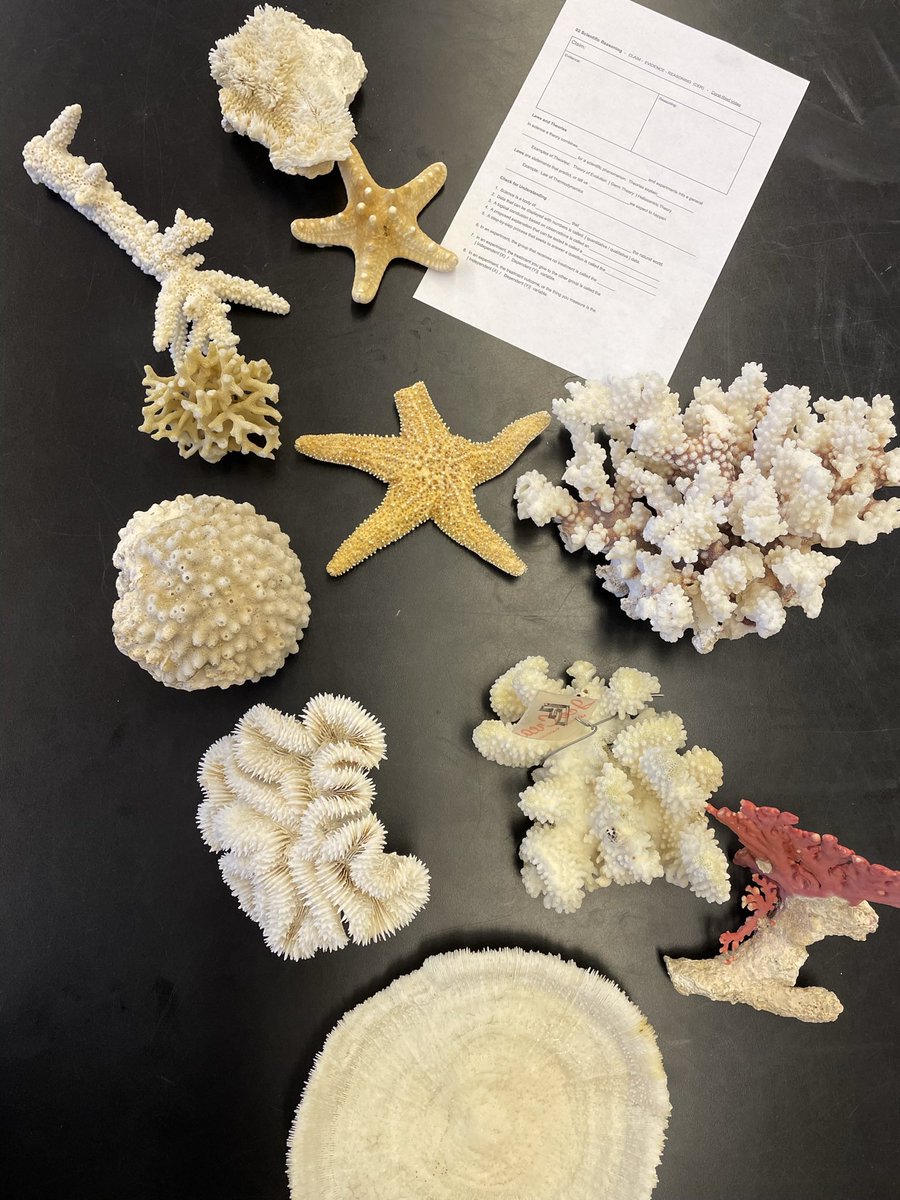 Nick Watkins (@pnwphysics) on Twitter photo I just wanted to shout out <a href="/biologycorner/">Biologycorner</a>. This is my 1st year teaching HS bio and while I had some supplies there was no curriculum. Bio corner has both a quality and quantity of resources that she posts in Gdoc form so you can download and edit. Appreciation post! #iteachbio I just wanted to shout out <a href="/biologycorner/">Biologycorner</a>. This is my 1st year teaching HS bio and while I had some supplies there was no curriculum. Bio corner has both a quality and quantity of resources that she posts in Gdoc form so you can download and edit. Appreciation post! #iteachbio