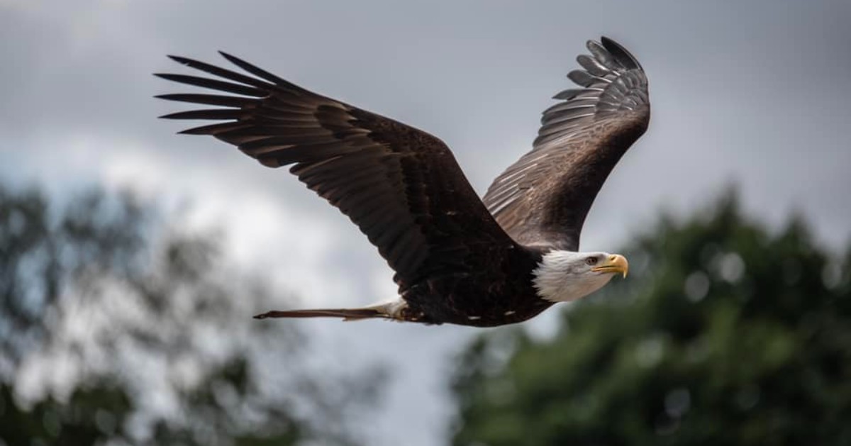 Warwick Castle tweet media