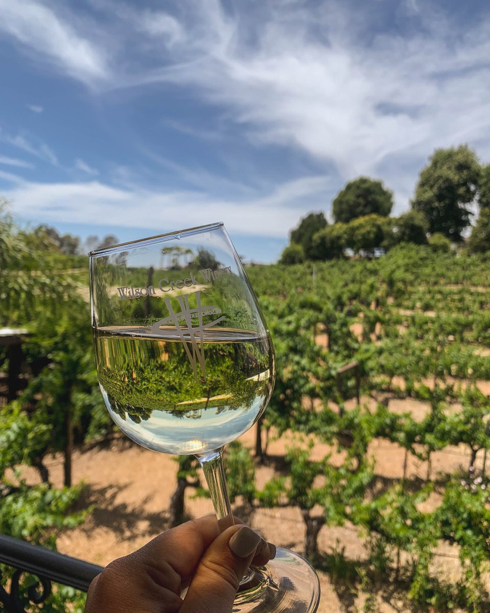 POV: You're enjoying a glass of wine on the balcony of "The Library"🥂🍇 
--
Click the link below to book a reservation! 
bit.ly/4bCyU9X