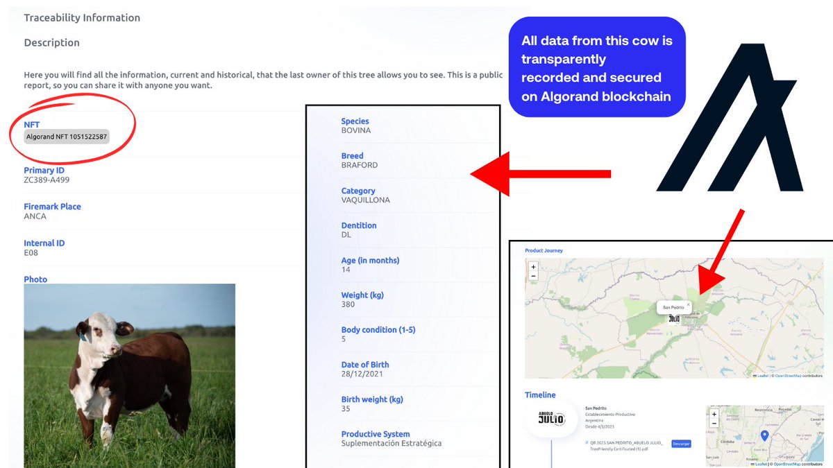 20,000 cows tokenized as NFTs on #Algorand! 🤯

This little-known but amazing #RWA use case continues to grow, with thousands of cows tokenized since 2024 and more added just yesterday! 🐄

Thanks to <a href="/Origino_io/">Origino</a>, animals can be tokenized on $ALGO to ensure transparency by