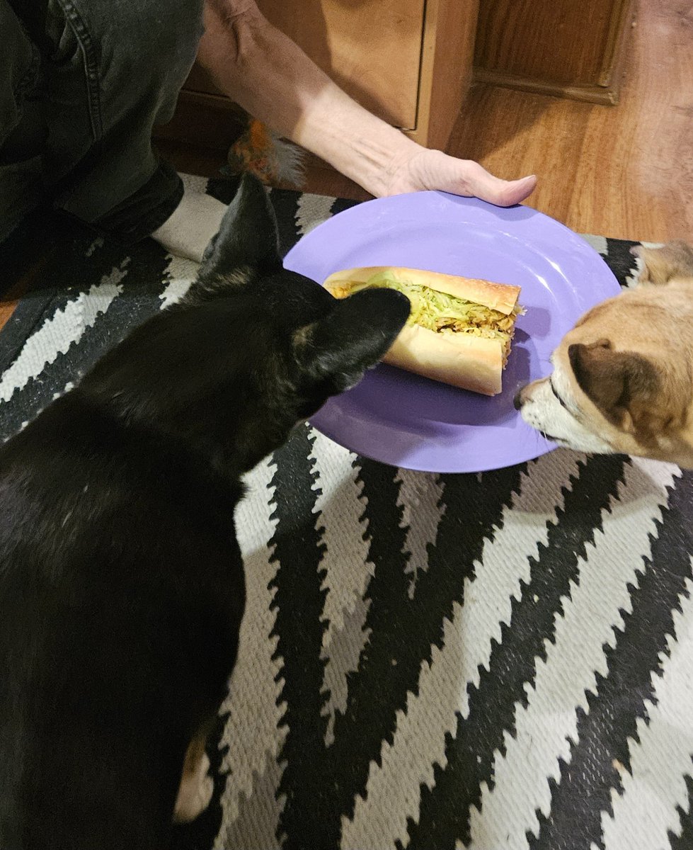 Cheesesteak today, in honor of <a href="/RusselltheBully/">Big Albert & Fat Russell 🌈OTRB</a> and <a href="/pawword/">PawWord - Personalized Pet Stories and Pictures</a>. Thank you for all you have done for us❤️🐾🌈 #ForeverLoved