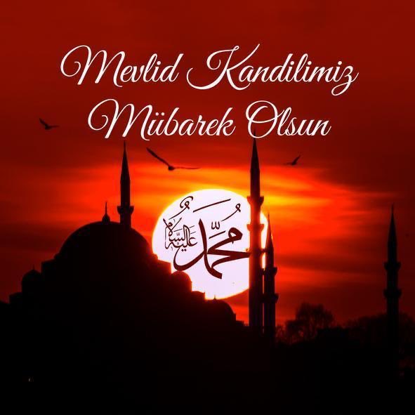 ridvanacar5's tweet image. 