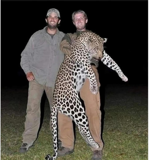 TheCroc14's tweet photo. @GenoVeno73 @DonRice44707982 They don't  look Haitian. A big cat for the MAGA banquet https://t.co/5EIlLsGaQl