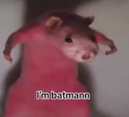 adptcs's tweet image. twitch.tv/adptcs