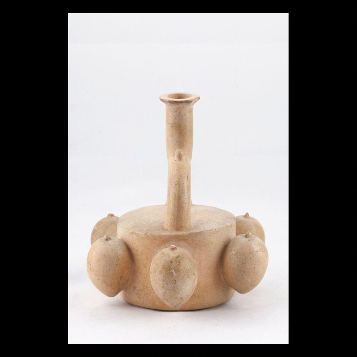 ARAS Archive tweet media