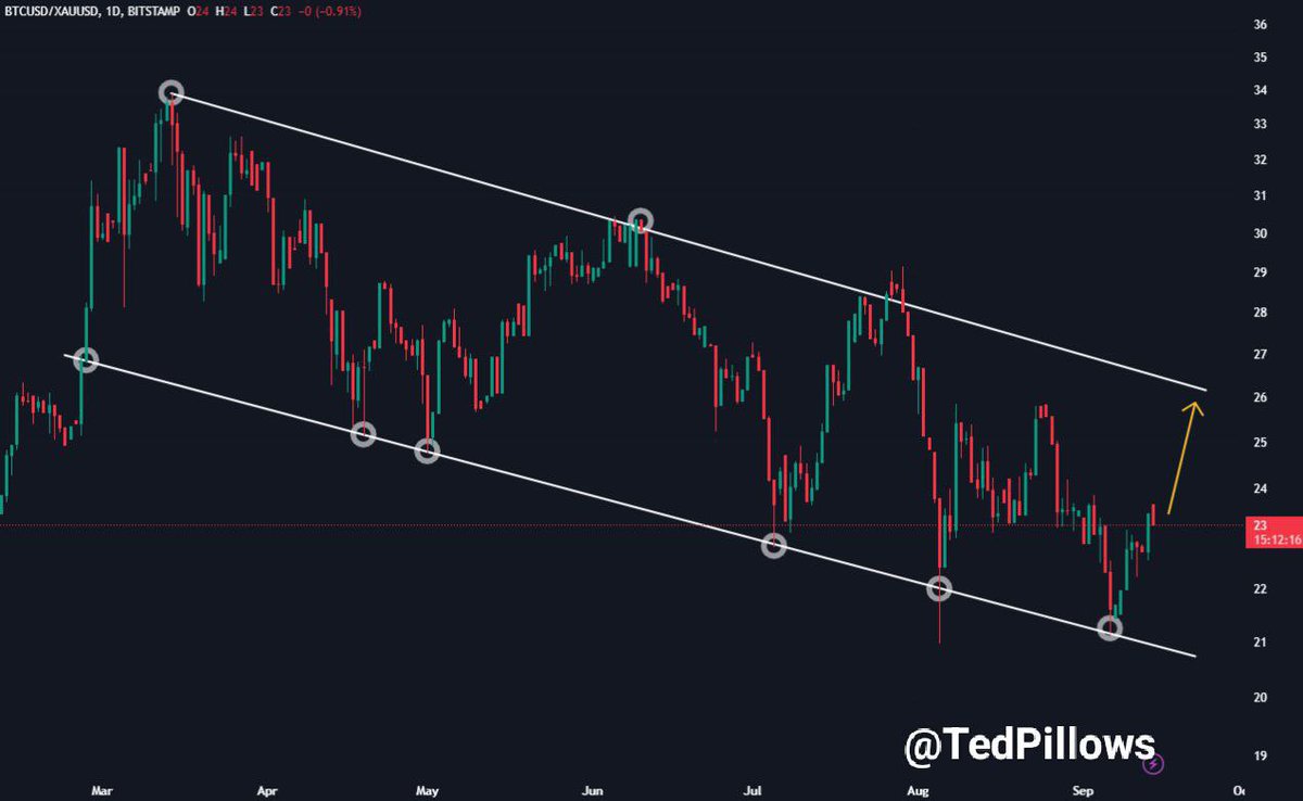 TedPillows's tweet image. $BTC has started outperforming Gold recently, despite Gold's new ATH.
 
It's up nearly 15% against Gold this month and is moving up 🚀 
 
FED rate cut is about to happen, and IMO, BTC will outperform Gold massively.