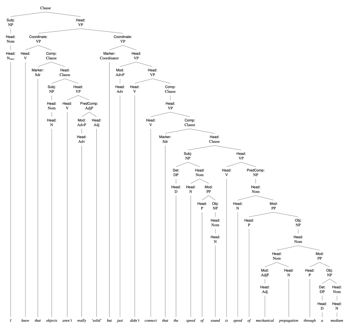 Tree_a_day🌲🌴🌳 tweet media