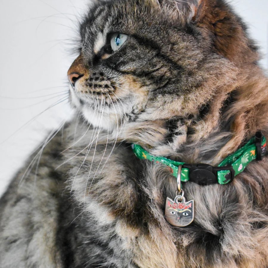 masato_jones's tweet photo. They are in the Leeds shop Niaski cat collars
Miaow #caturday #pussy #Cat #catlovers #pussycat #CatsofTwittter #CatsAreFamily #catcollars
5 Thorntonβs Arcade Leeds LS1 6LQ
https://t.co/4RIlI0EhG0 https://t.co/B4TswcVpNI