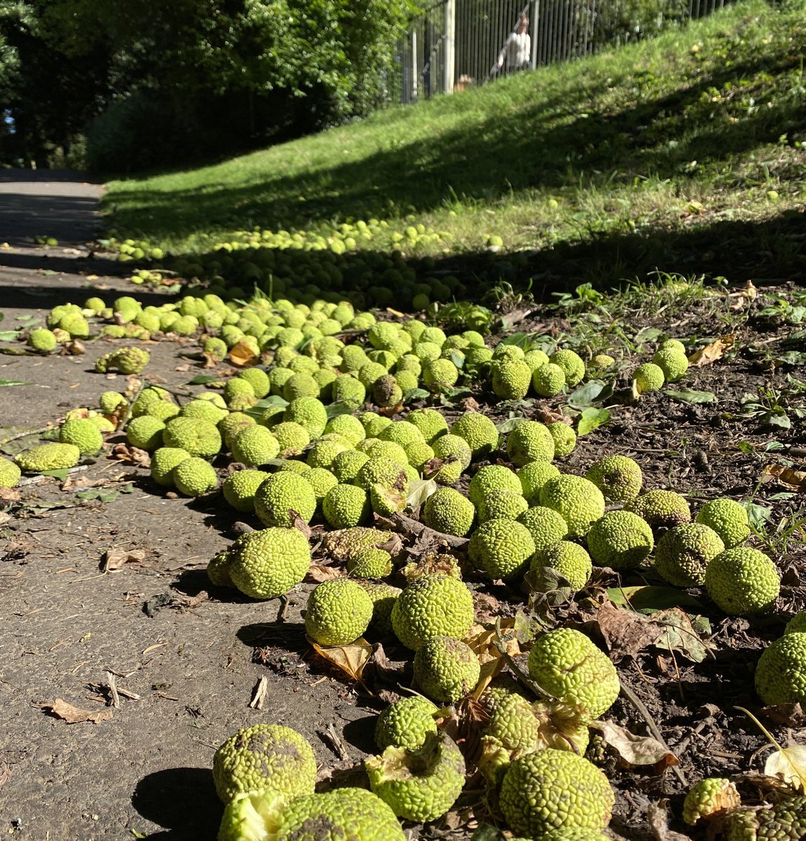 I Loves The ‘Diff tweet media