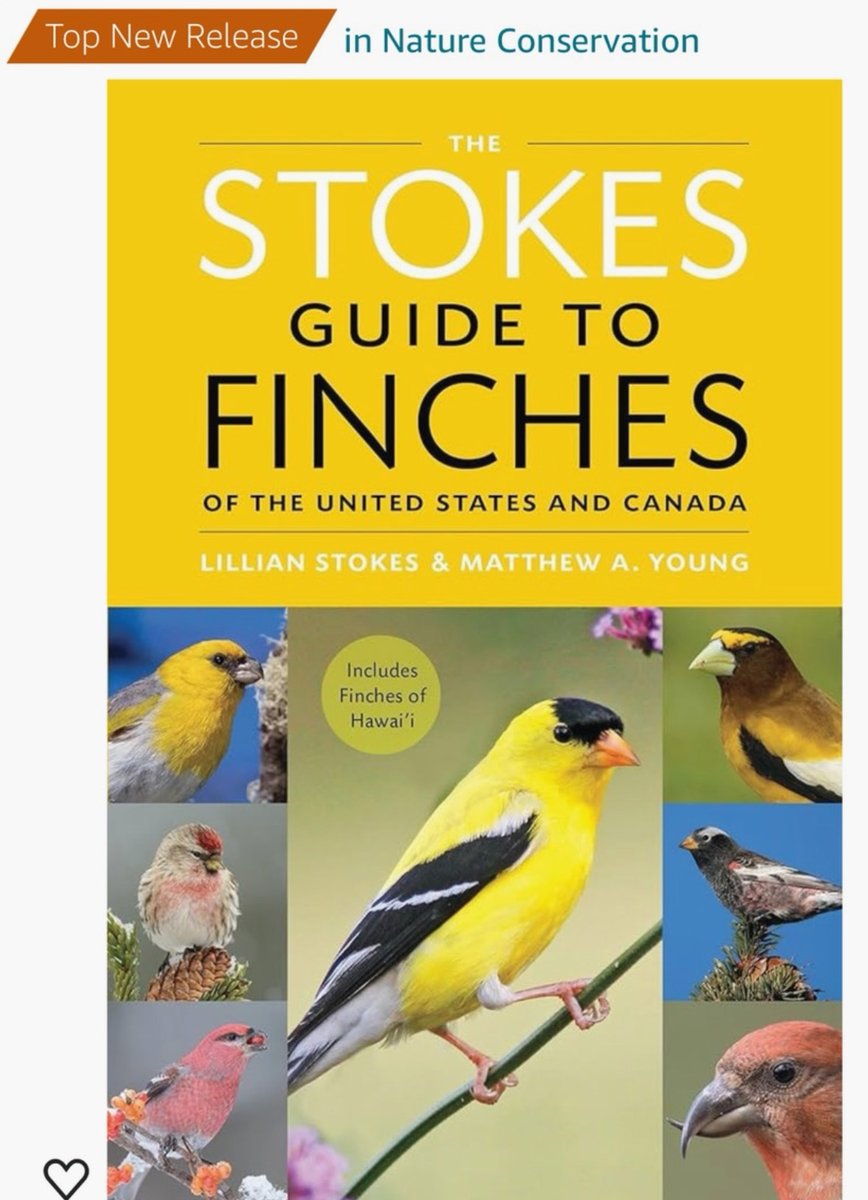 Publication is Sept. 17th! Preorder now. amazon.com/Stokes-Finches…