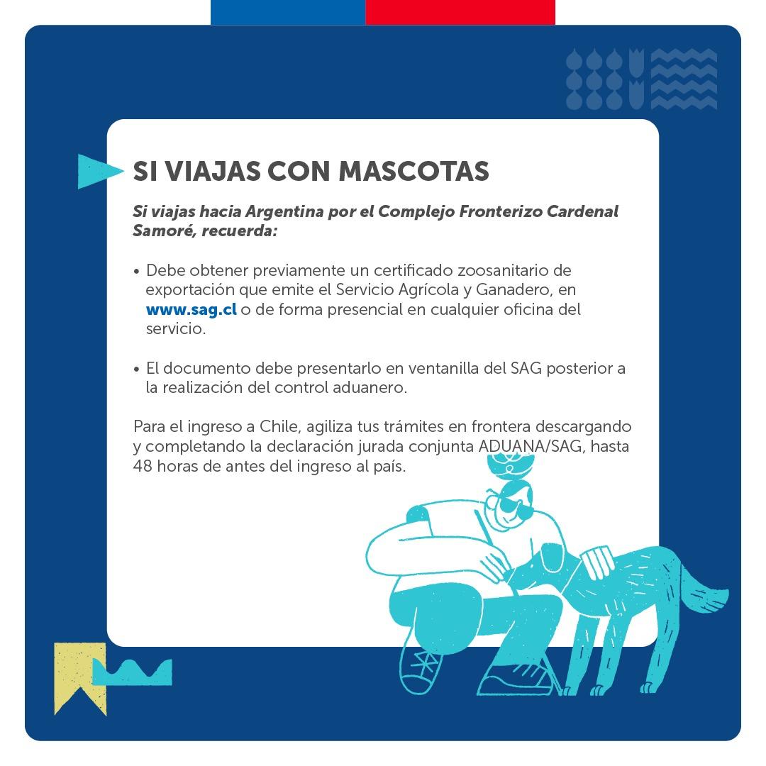 CFSamore's tweet photo. Buen día a tod@s!

Si tienes planificado transitar por @CFSamore  durante estas #FiestasPatrias, te compartimos tips para realizar los controles 📝

📍Migratorio
📍Aduanero
📍Fito zoosanitario

Planifica tu viaje❗️

@DPPOsorno @AduanaCL @UPFronterizos @sagchile @PDI_LosLagos https://t.co/ZRJZRl2sve