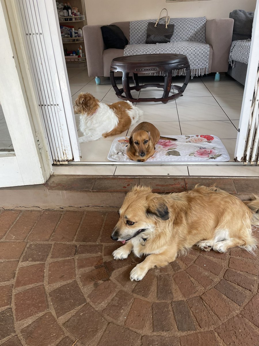 Cath Jenkin tweet media