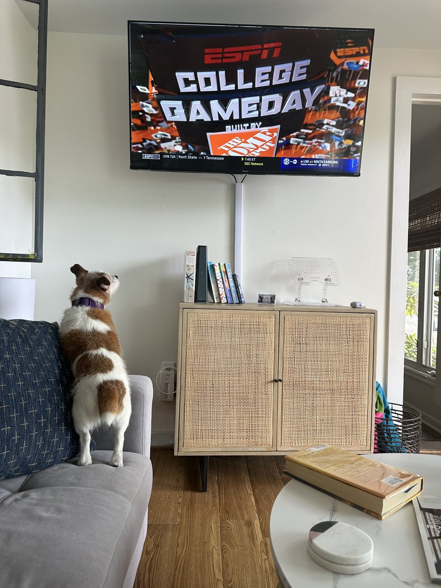 Even Shamrock knows what day it is! <a href="/CollegeGameDay/">College GameDay</a>