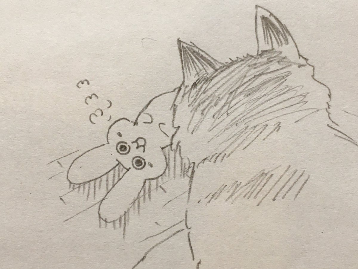 @naruo2451 
