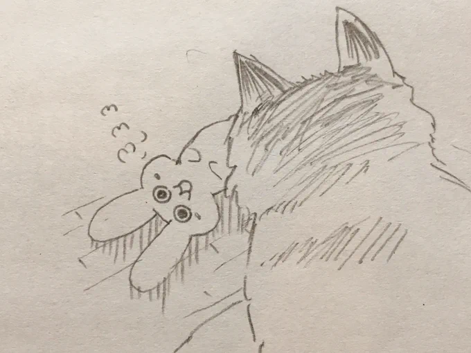 @naruo2451 