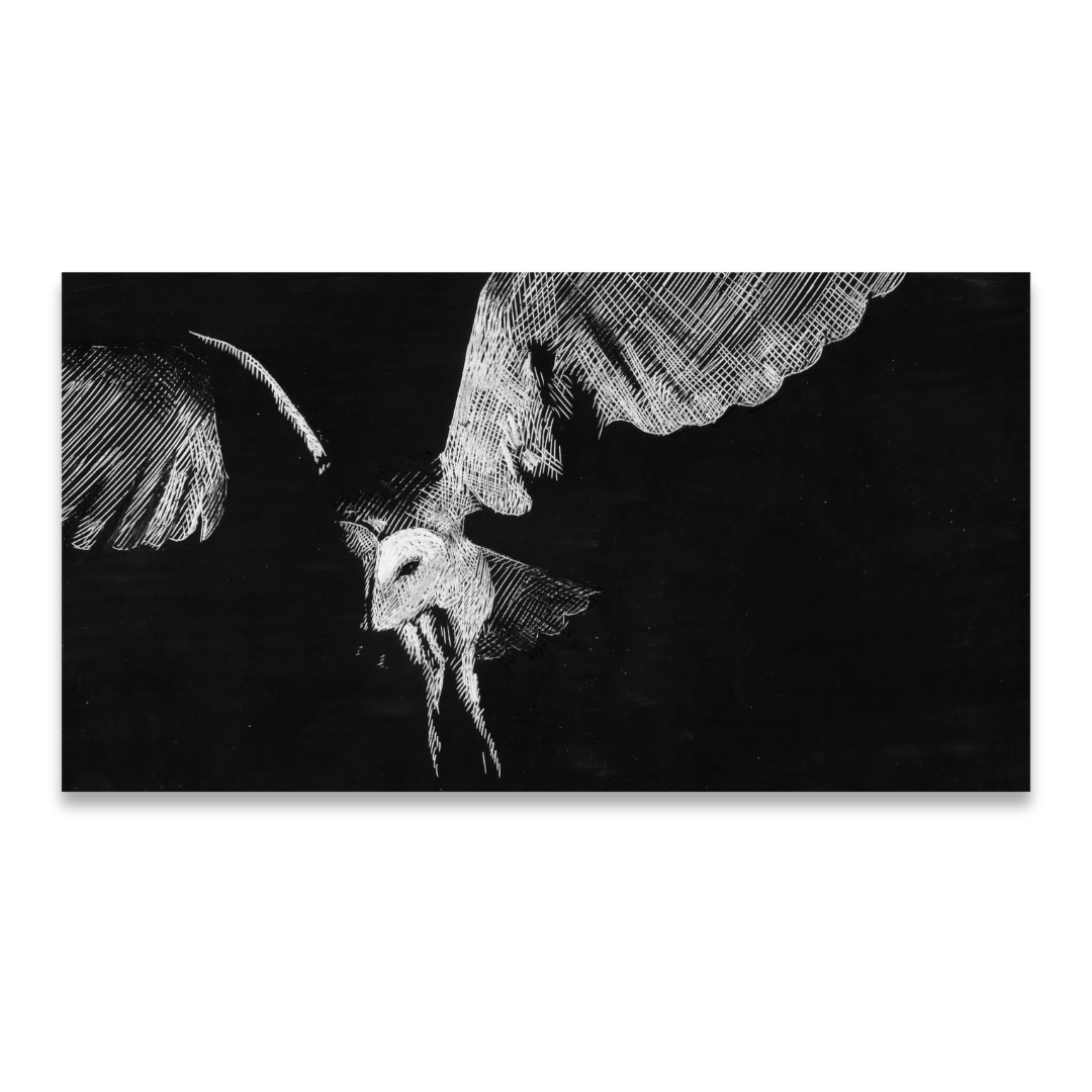 luckyredfilm's tweet photo. Per realizzare #Invelle sono state disegnate a mano oltre 40.000 tavole; ne abbiamo selezionate 8 per una collezione esclusiva disponibile su Lucky Shop.
Illustrazioni da collezione, stampate su carta pregiata, numerate e autografate da #SimoneMassi
👉 https://t.co/tjLdIiZYDL https://t.co/Hp0Av2YOvy