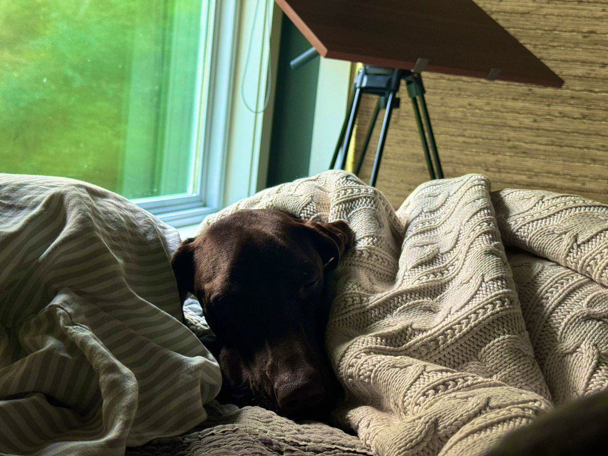 Beth Moore tweet media