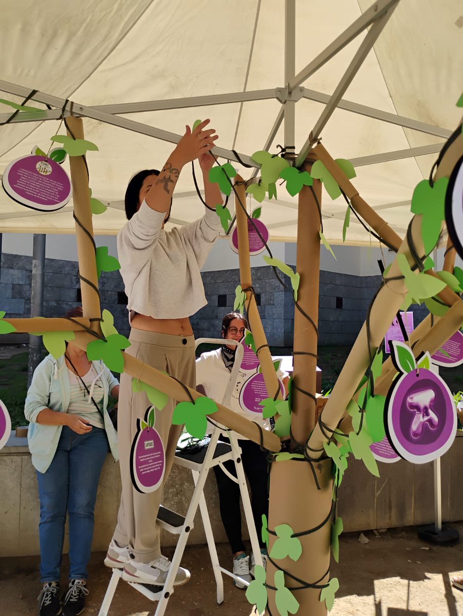 Menta i Xocolata tweet media