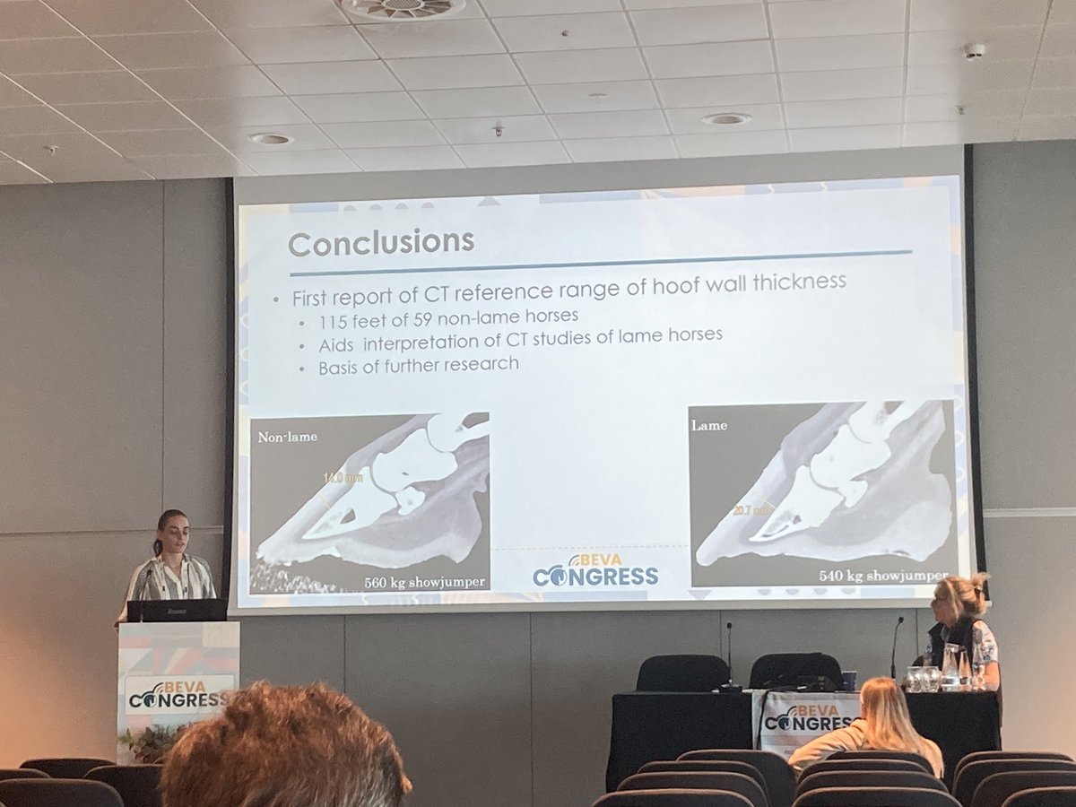 BowkettCon34945's tweet photo. Another representative from the University of Budapest, Luca Szabo presents important work establishing CT hoof capsule measurements in Warmbloods and Thoroughbreds @BEVA_news @EVJltd @EVJeditor https://t.co/sifAPeJ36b