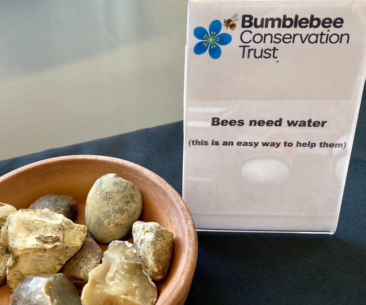 Fantastic Eco Fair earlier today at Amersham Free Church with lots of useful information. Great to see people of all ages attending &amp; engaging with the different groups attending. 

Well done &amp; thank you to organisers and participants! 

#environment #sustainability #community