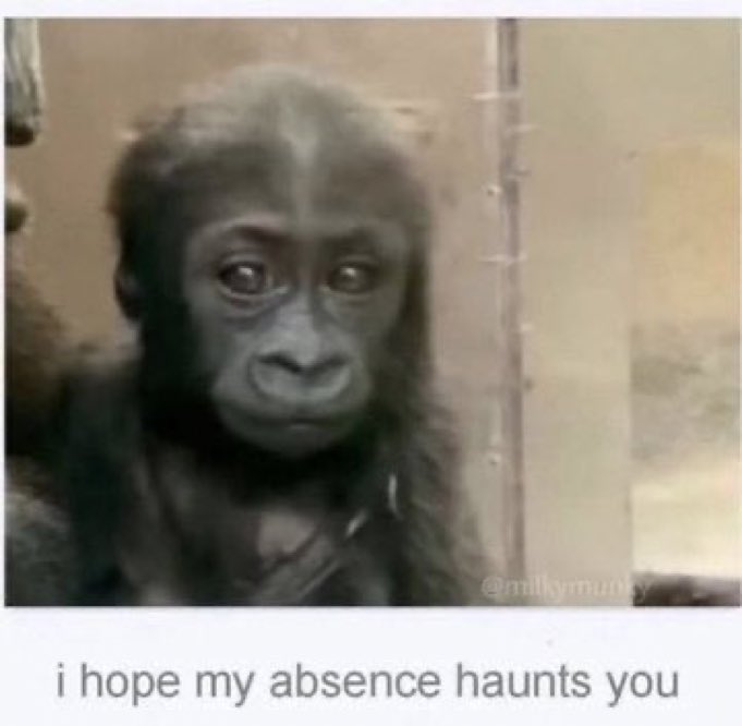 ✧ (@northstardoll) on Twitter photo 