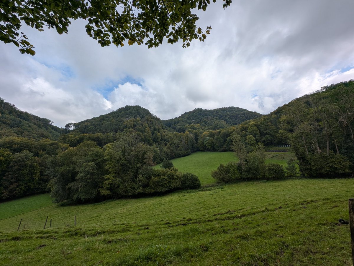 Visit to Arlesheim today. High of 14 degrees! Last weekend it was 37 degrees in Rheinfelden ...😆🌨️