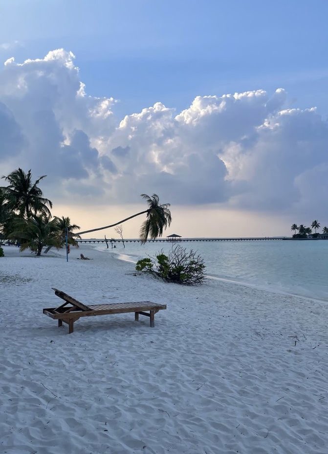 tmbIrpics's tweet image. Need