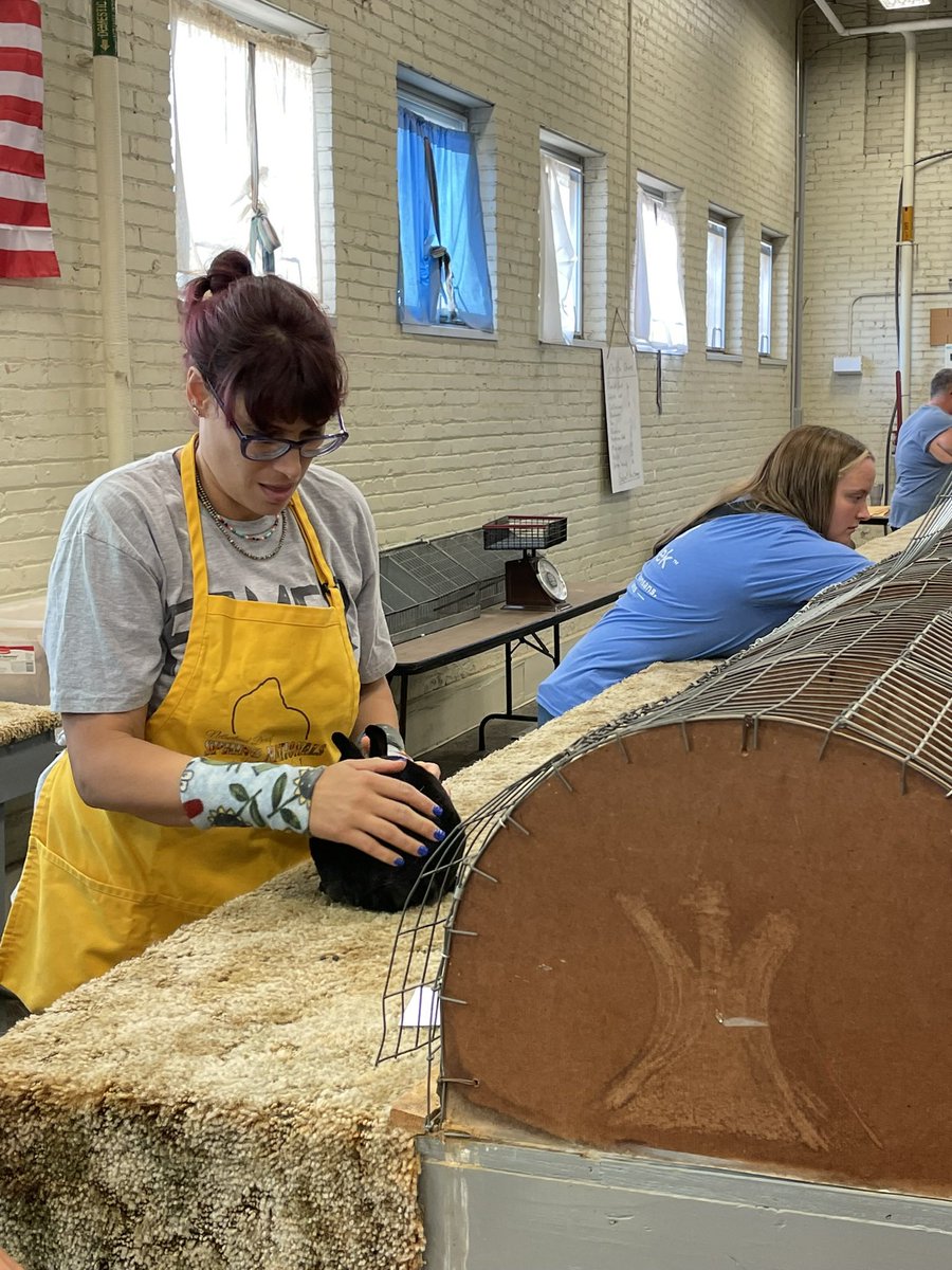 Kansas 4-H tweet media